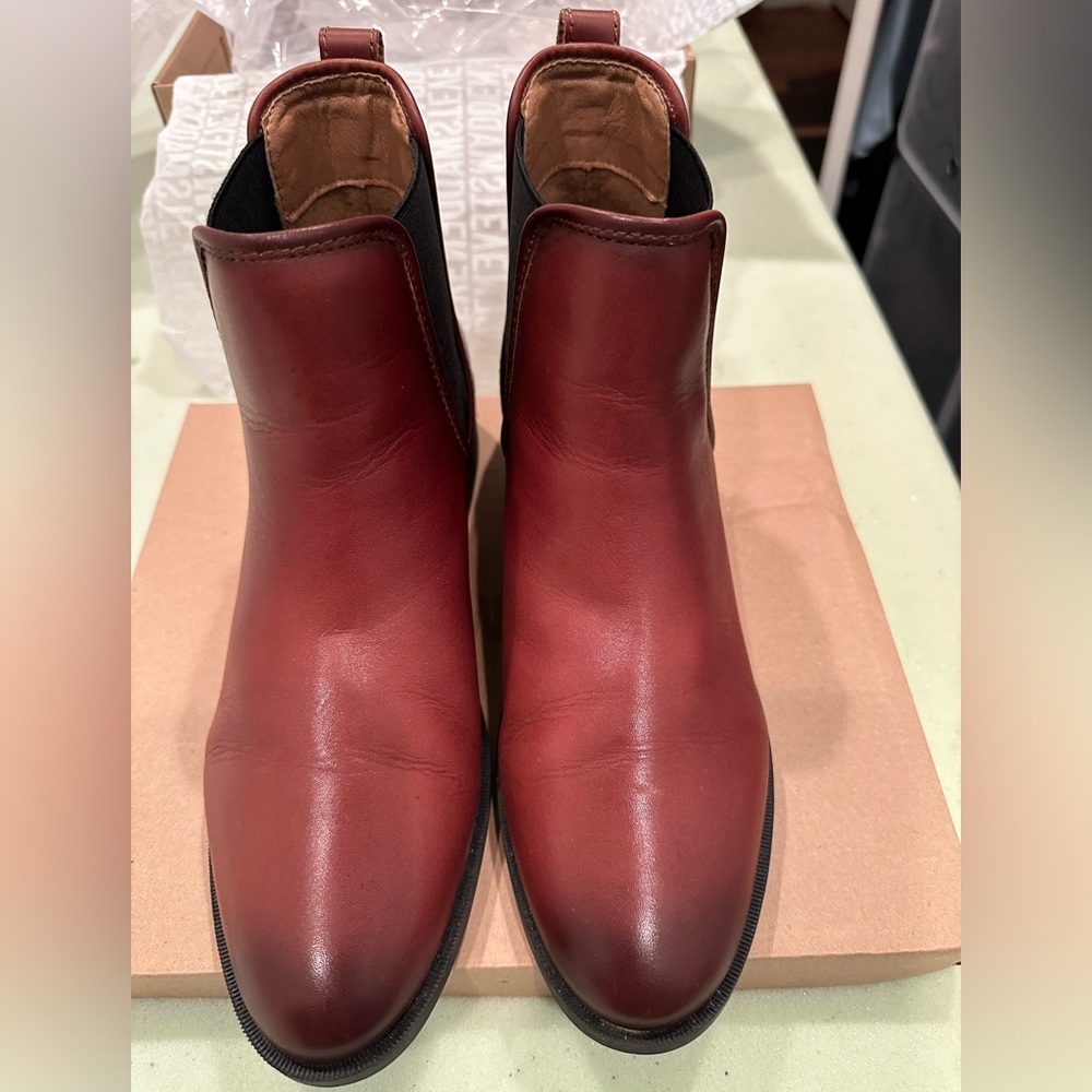 Women Steve Madden Dares Ankle Boots